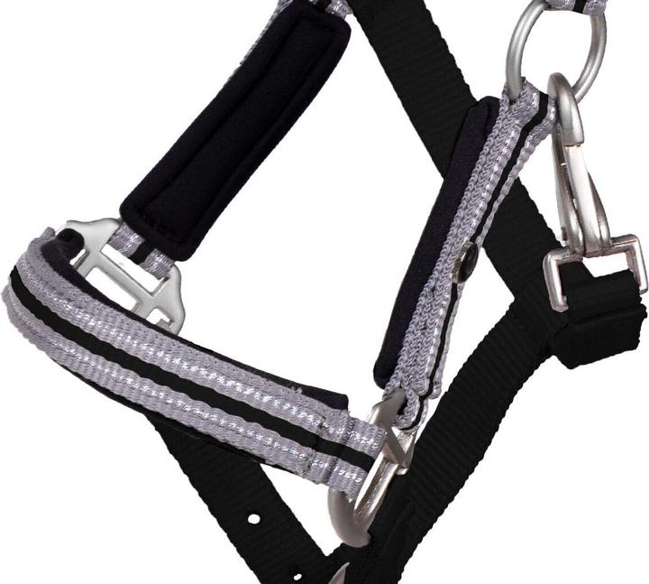 Image du produit Qhp Licol pour poulain avec frontal