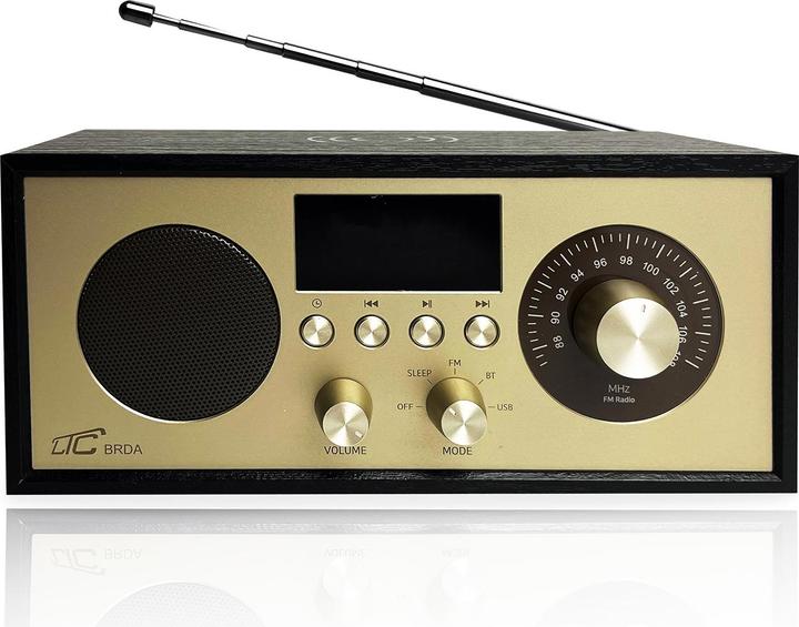 Produktbild LTC portable radio BRDA, Bluetooth, FM, USB, 2200mAh, 10W wireless charging, black-gold (FM, Bluetooth)