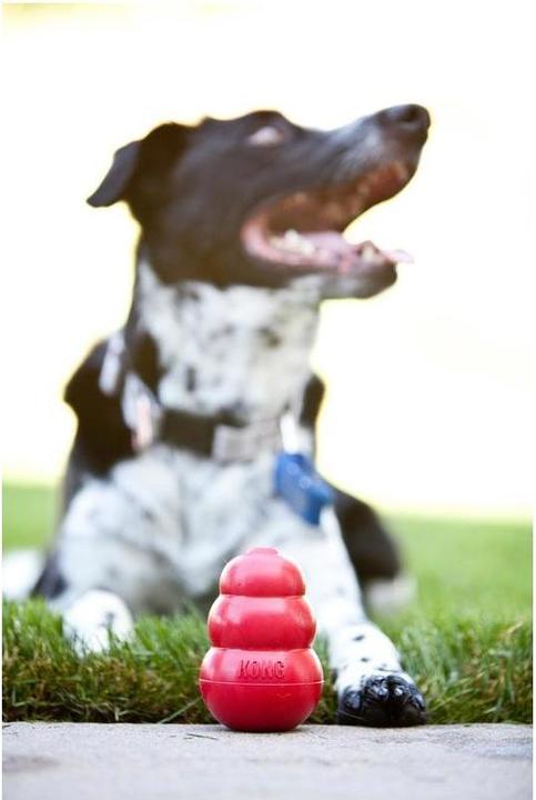 Immagine prodotto KONG Classico (Reperimento, Giocattolo per cani, Gioco da masticare per cani)