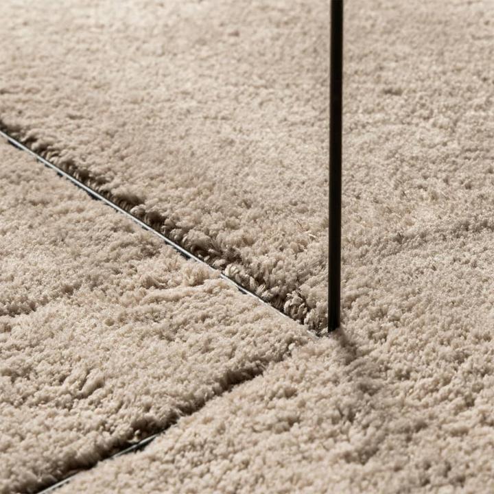 Image du produit vidaXL Teppich