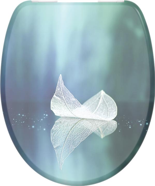 Fallen Leaf