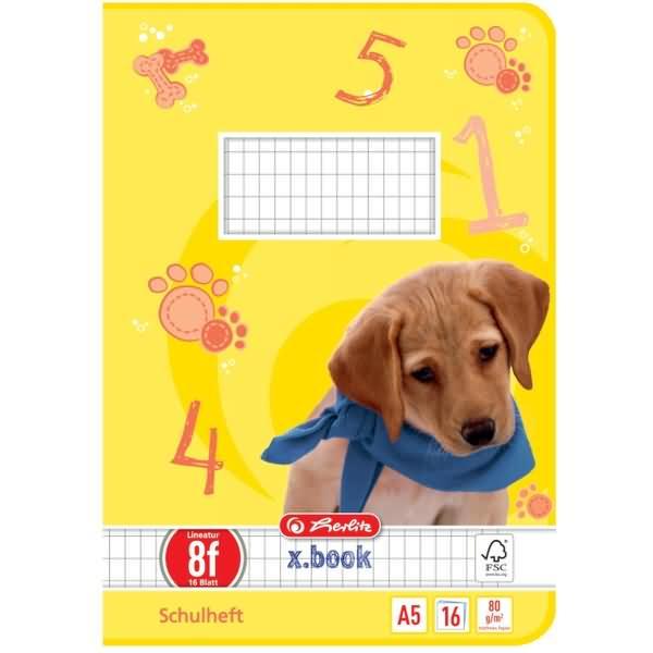 Produktbild Herlitz Schulheft x.book, DIN A5, Lineatur 8f / rautiert (A5, Kariert, Harter Einband)