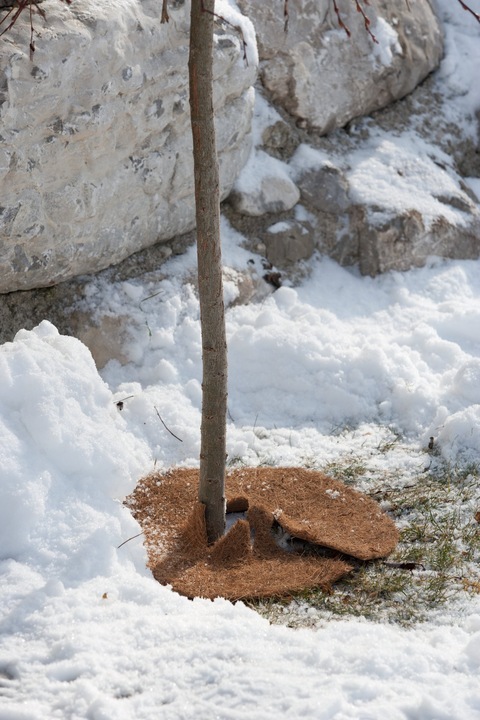 Produktbild Windhager Mulchscheibe Cocodisc