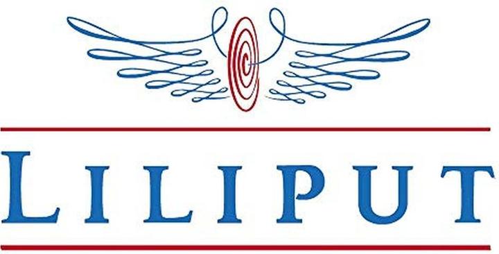 Actual product image Liliput Type (model railroad) (Track H0)