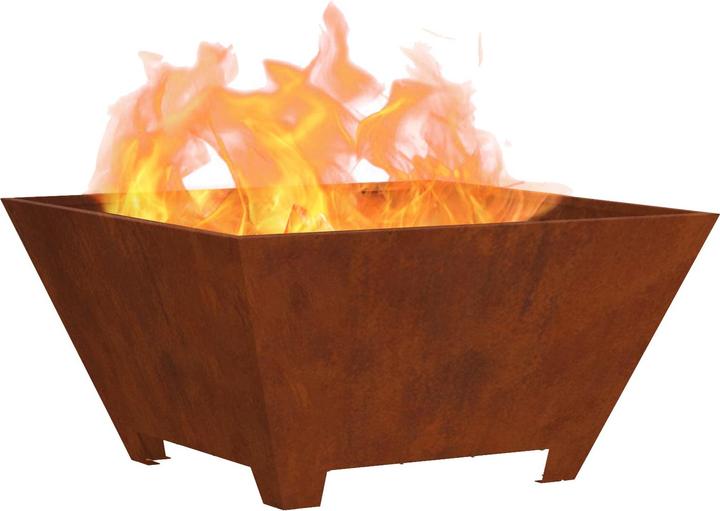 Immagine prodotto vidaXL Outdoor Feuerplatz (60 cm)