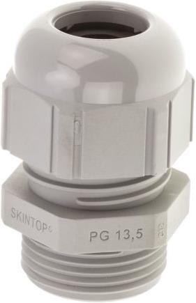 Actual product image Lapp Cable gland, nylon, grey, PG13.5, IP68