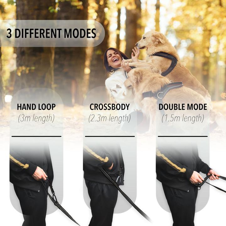 Produktbild Bluzelle Hundeleine (XL, Hund, Spazieren)