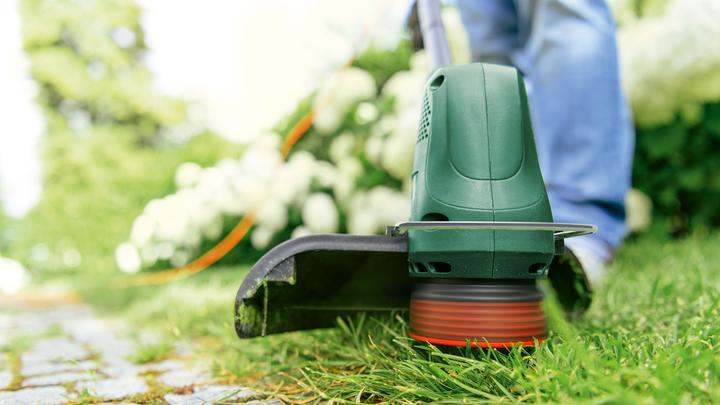 Image du produit Bosch Home & Garden EasyGrassCut 26 Coupe-bordures électrique (Fils coupe-herbe)