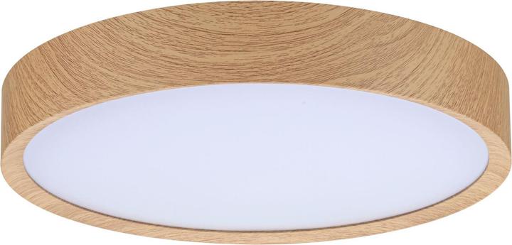 Produktbild Paulmann LED-Deckenleuchte (2400 lm)