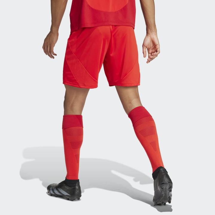 Actual product image adidas FC Bayern Munich Shorts (S)