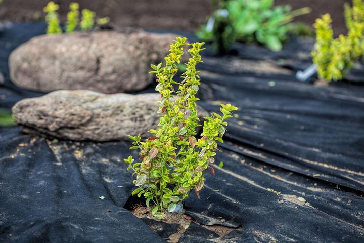 Produktbild Aquagart 175m x 1m Unkrautvlies UV-Stabil mit 2 Oberflächen Gartenvlies Mulchvlies PES/PP