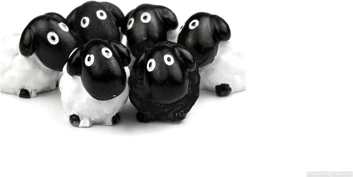 Image du produit Trendform Moutons (6 x)