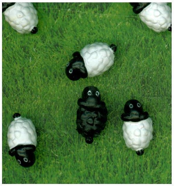 Image du produit Trendform Moutons (6 x)