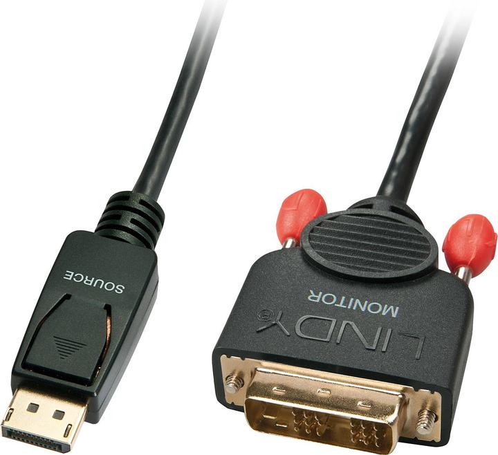 Image du produit Lindy DisplayPort — DVI (0.50 m)