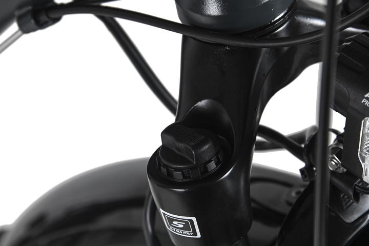 Produktbild Trekkingrad Damen 28" Firenze 100 21 Gänge RH 48 cm (48 cm)