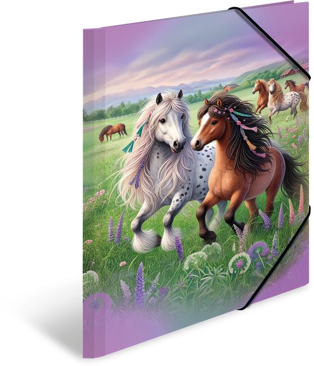Actual product image HERMA A3 motif folder (A3, 1x)