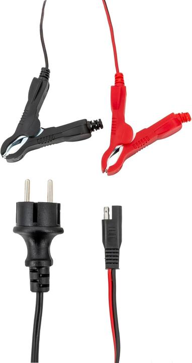 Actual product image GYS Charger FLASH 9.24 (12V, 6V, 24V, 9 A)