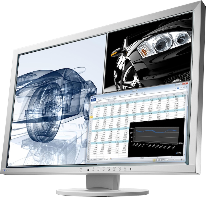 Actual product image Eizo EV2430 (1920 x 1200 pixels, 24")