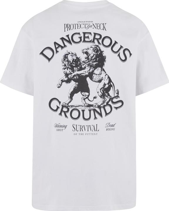 Produktbild Urban Classics Upscale Dangerous Grounds Oversize Tee - 178339 (M)