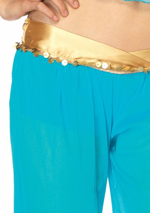 Actual product image Leg Avenue Arabian Princess Jasmine (S)