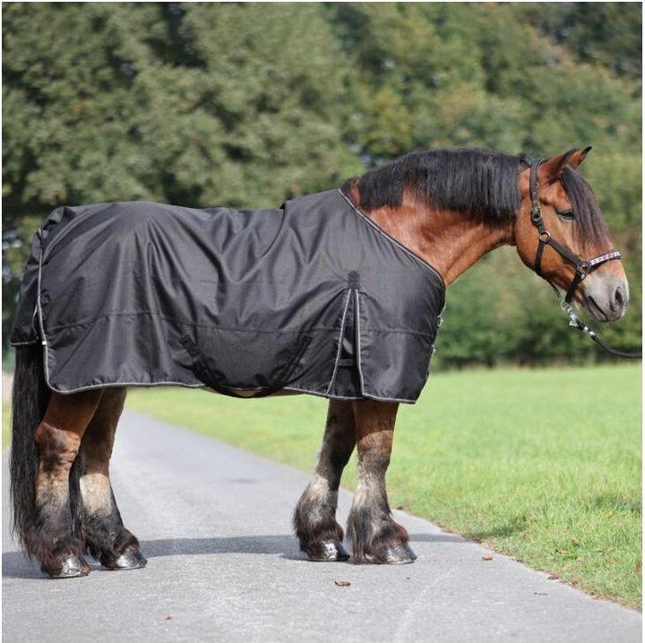 Produktbild Kavalkade Draft Horse (145 cm)