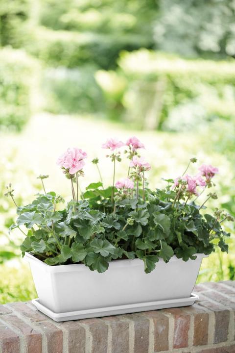 Actual product image Elho Barcelona (19 cm)