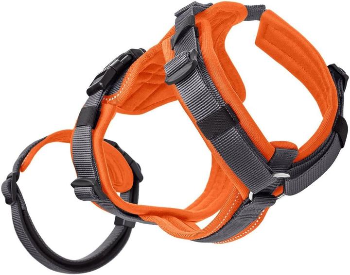 Image du produit Hunter Sicherheitsgeschirr Maldon (Chien)