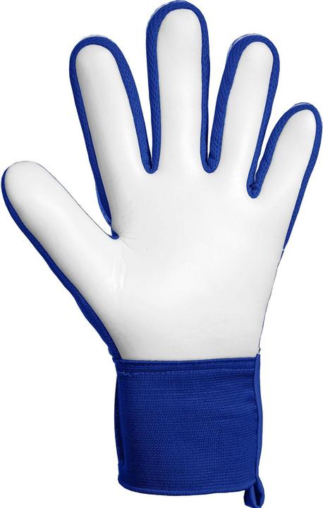 Actual product image Reusch Attrakt Starter Solid (10)