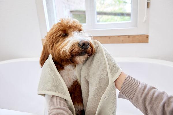 Actual product image Palopa Dog towel