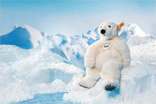 Actual product image Steiff Nanouk polar bear white 33cm (33 cm)