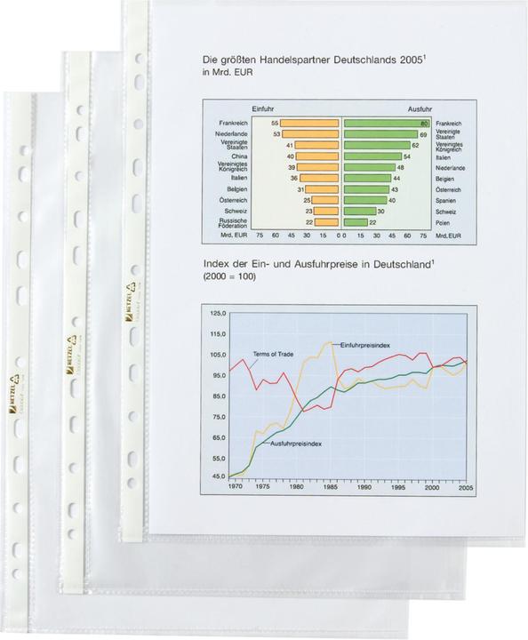 Image du produit Pochettes Economy grainées A4 (A4, 100x)