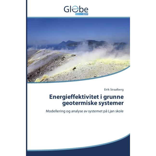Energieffektivitet i grunne geotermiske systemer, Fachbücher