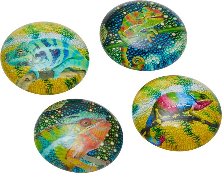 Produktbild Trendform Chameleon (4x)