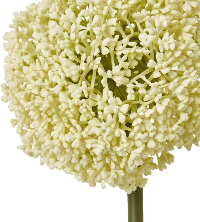 Actual product image Hill Interiors Allium Stem Artificial Plant