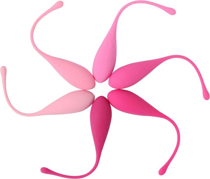 Produktbild FeelzToys FemmeFit (50 -130 g)