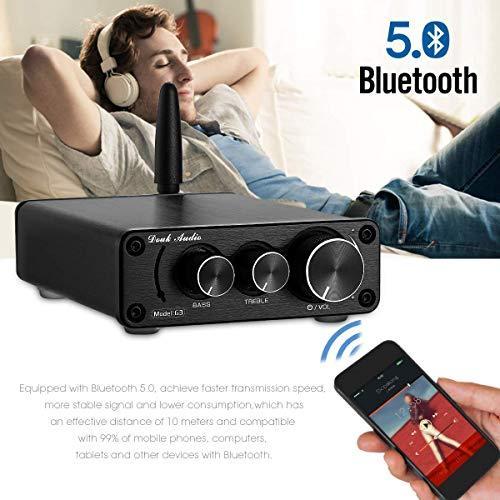 Actual product image Nobsound G3 (Amplifier)