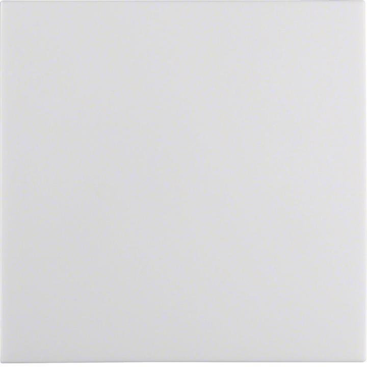 Image du produit Berker 16298989 Accessoires pour interrupteurs électriques Rocker
