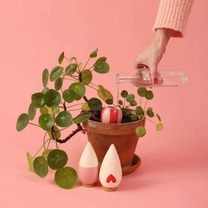 Image du produit Pepin Mini Ollas (Cône d'argile)