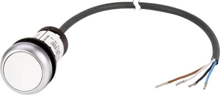 Actual product image Eaton Pushbutton flat white C22-D-W-K10-P62 1 pc.