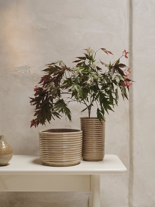 Image du produit Ferm Living Corduroy (1 x, 12 x 12 x 21 cm, 8 l)