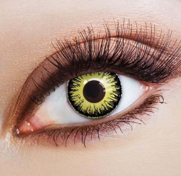 Immagine prodotto Zoelibat Girasole (Giallo/Nero)