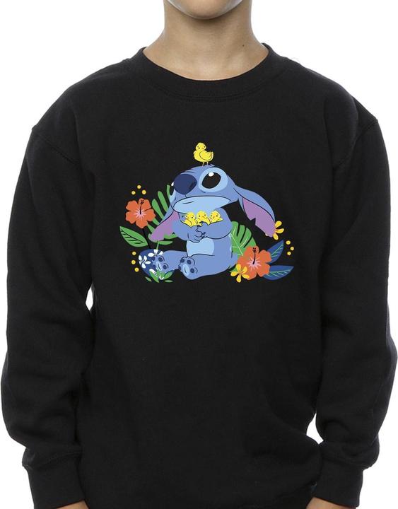 Actual product image Disney Boys Lilo & Stitch Birds Sweatshirt (104)