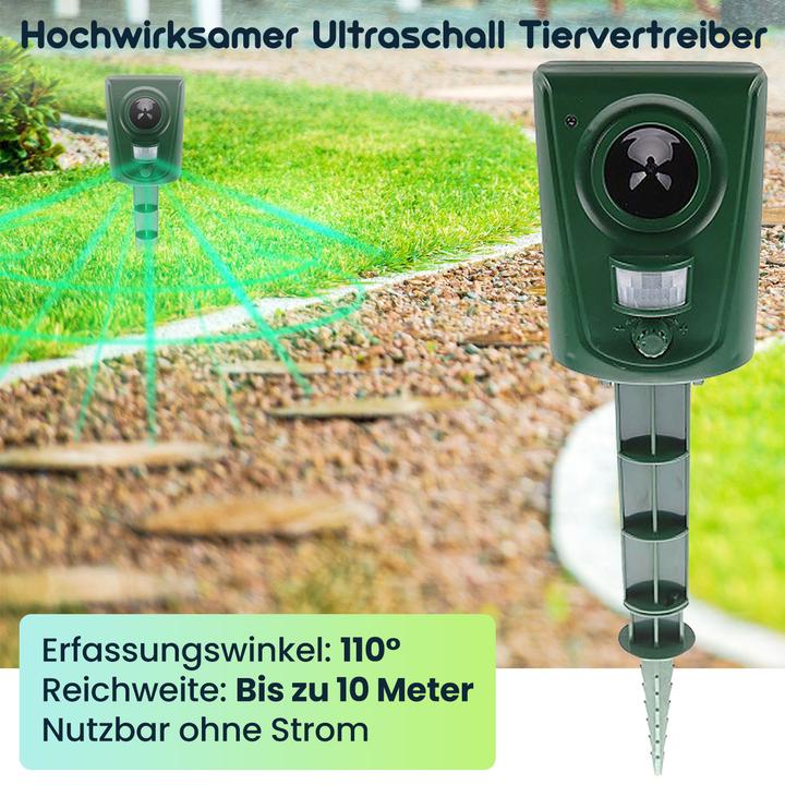 Produktbild Isotronic Ultraschall