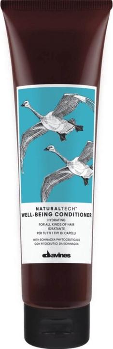 Actual product image Davines Naturaltech - Well Being Conditioner (60 ml)