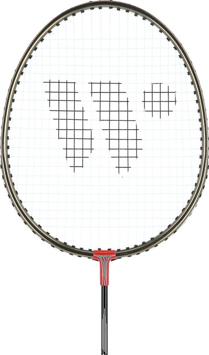 Actual product image Wish Formula Badminton racket set Wish Alumtec 316K