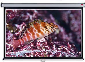 Produktbild Nobo Wall Mounted Projection Screen 2000x1350mm (90.55", 16:10)