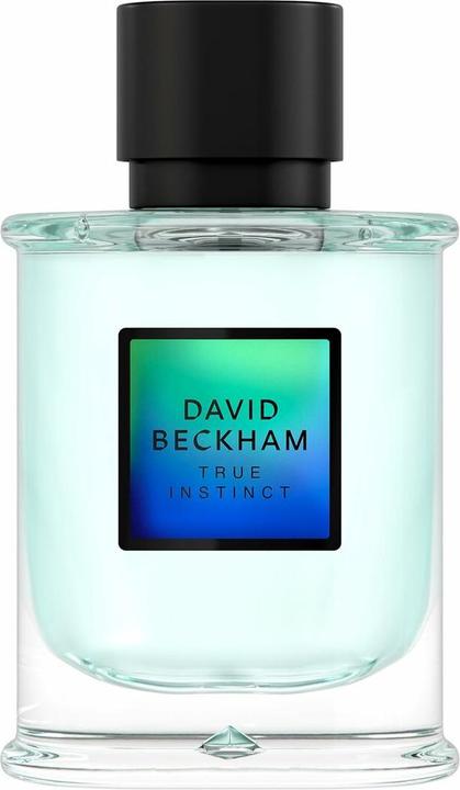 David Beckham True Instinct (Eau de Parfum, 75 ml)