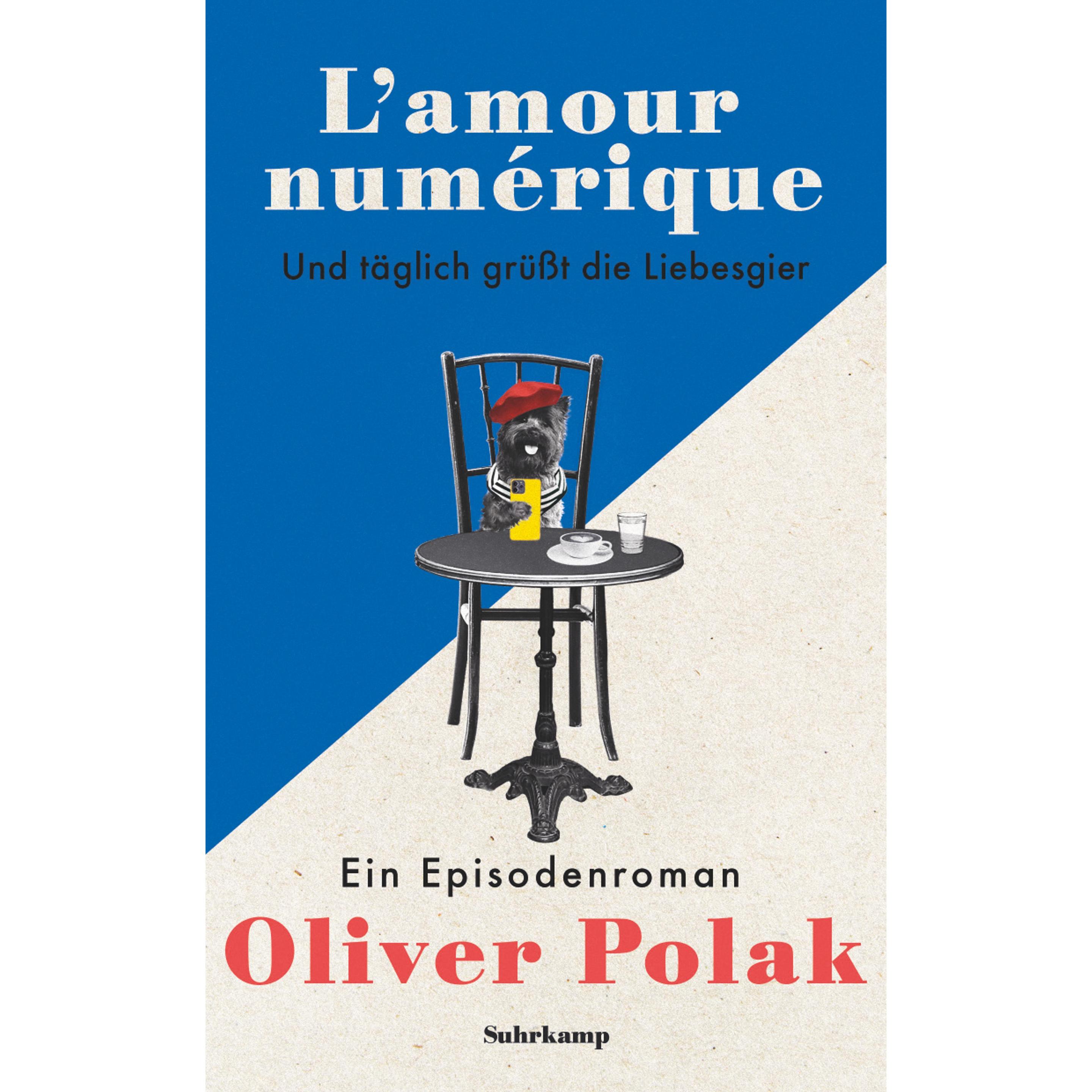 L’amour numérique, Fachbücher von Oliver Polak