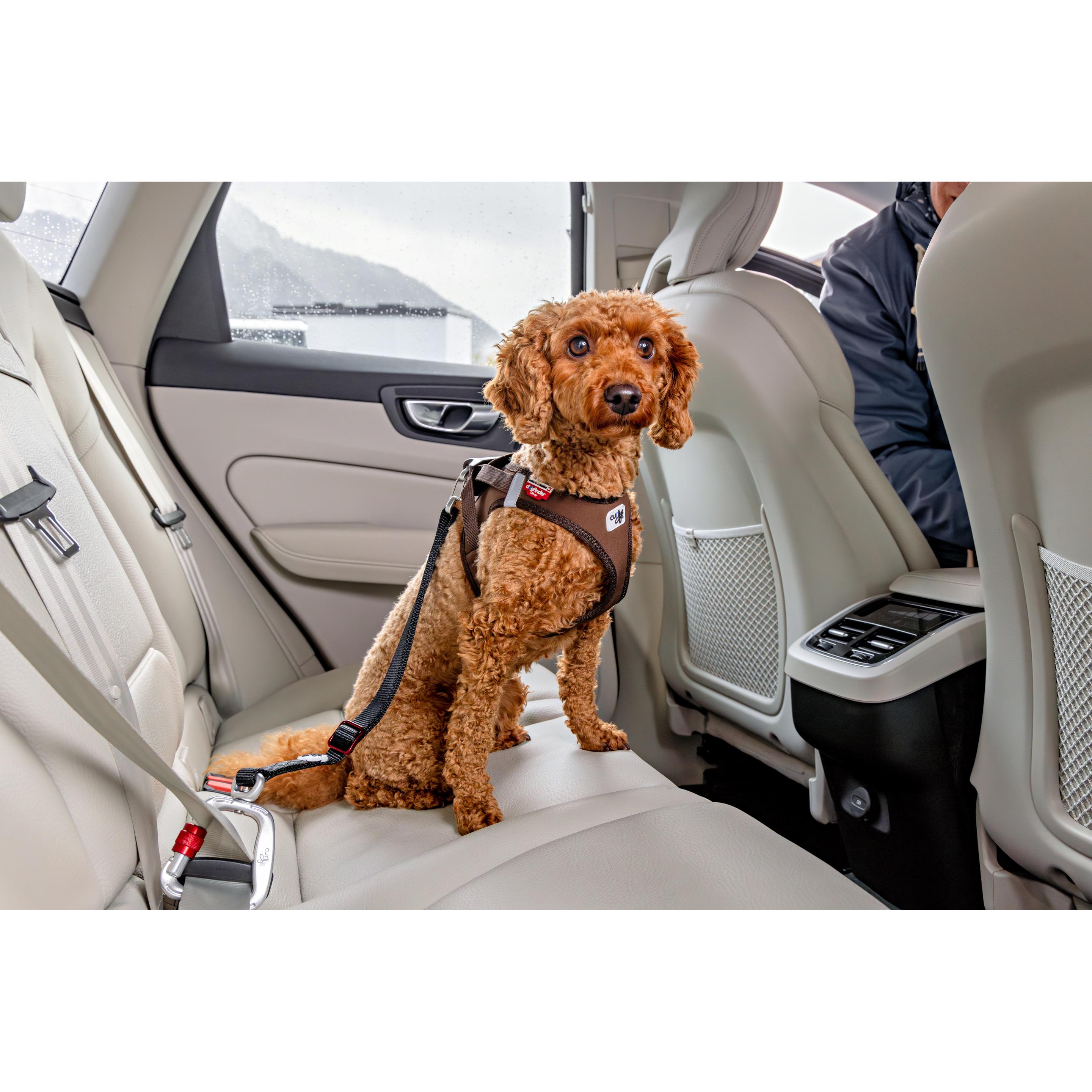 Ceinture de sécurité pour chien Curli V2