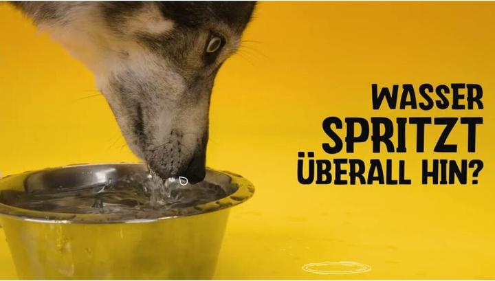 Actual product image Excellent Pets No-Spill Bowl 800ml Green M